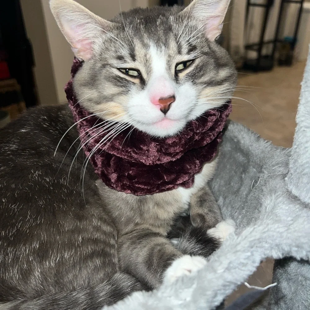 Homemade crochet Velvet/ purple very soft neck warmer small for cats
